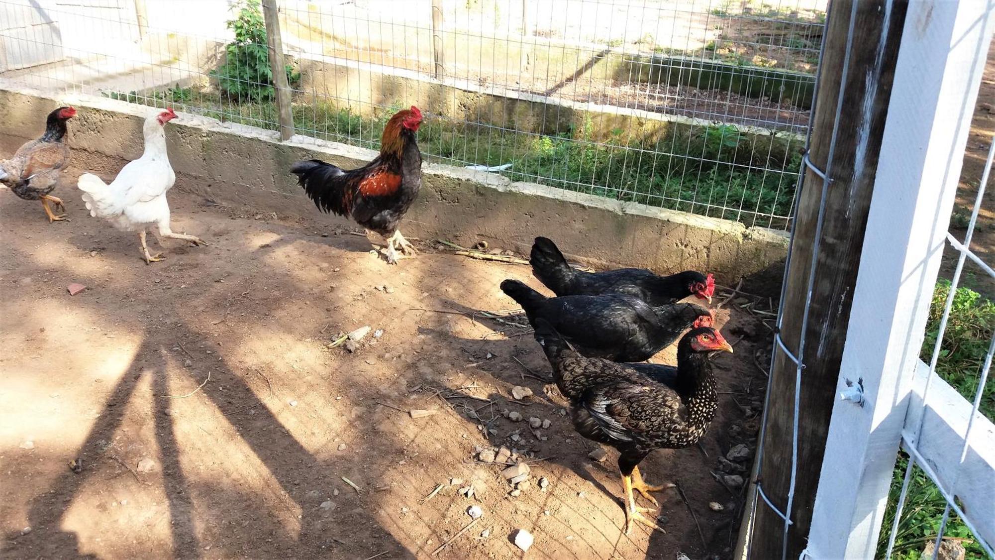 Pousada Recanto Primavera Piedade  Ngoại thất bức ảnh